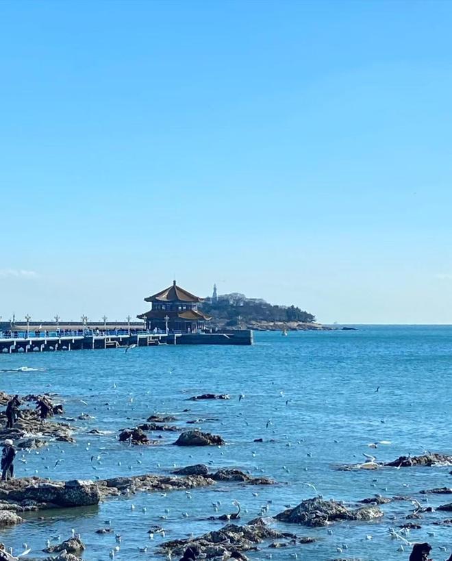 旅游攻略4日游最佳方案 攻略青岛旅游4天要多少钱青岛4(图3)